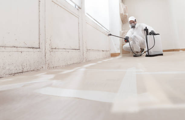 24/7 Emergency Commercial Mold Remediation experts in Georgetown, IL